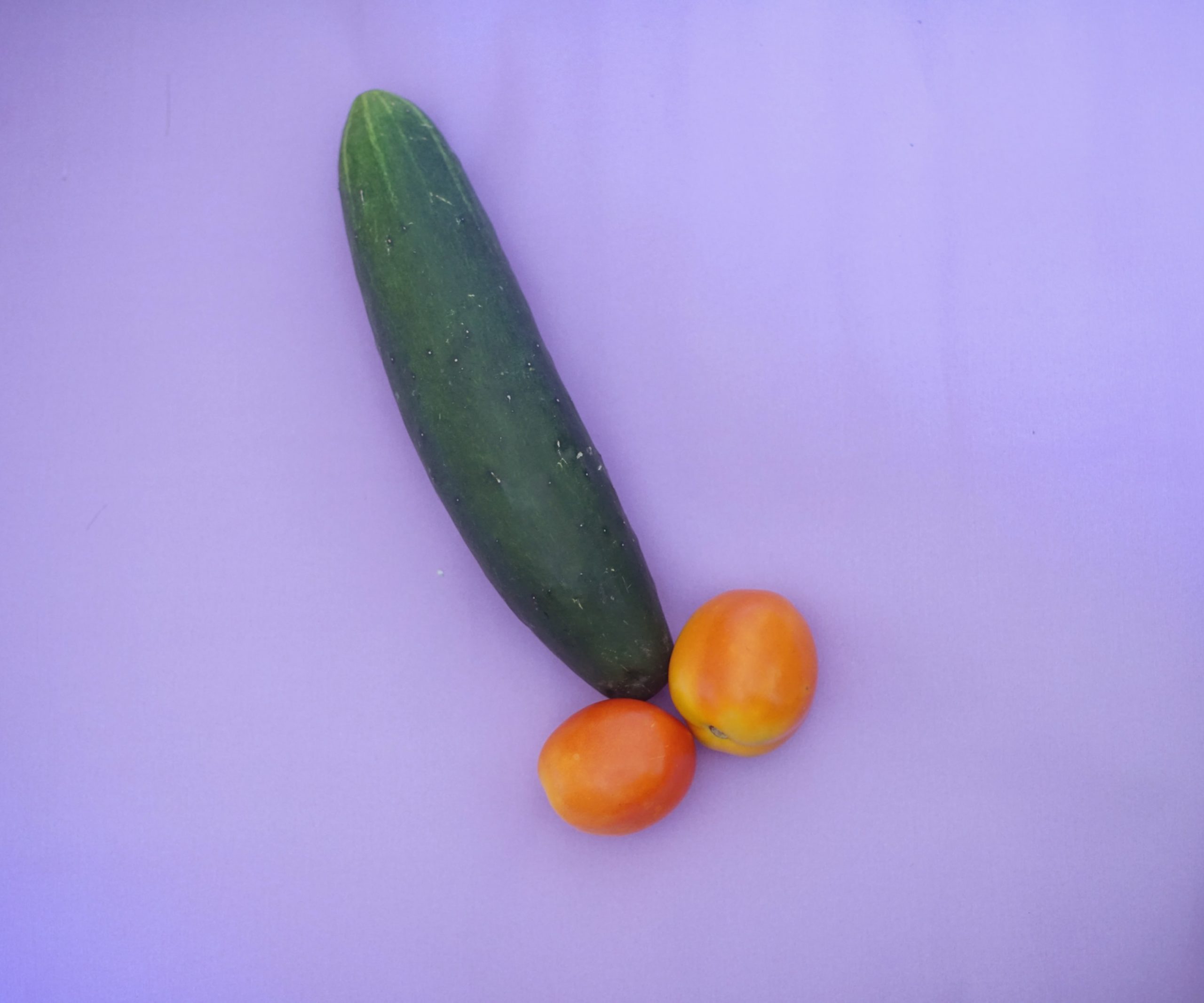13 Best Cock Rings of 2020 (Options for Everybody)